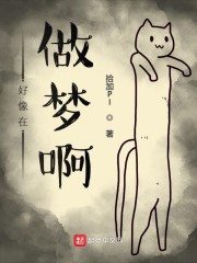 擺渡人小說簡介